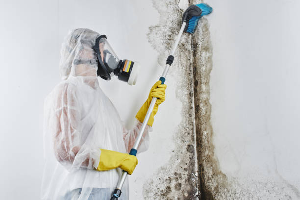 Water Damage Restoration in Farmer City, IL